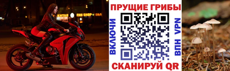 Галлюциногенные грибы GOLDEN TEACHER  Поворино 